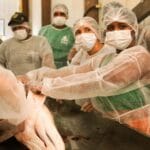 Capacitação em boas práticas para manejo do pirarucu beneficia mais de 80 pescadores na RDS Mamirauá - FAS