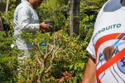 Dia D contra dengue promove ações de conscientização em todo o Brasil