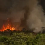 Incêndios no Brasil aumentam em 79% em 2024 com seca extrema;