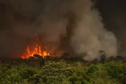 Incêndios no Brasil aumentam em 79% em 2024 com seca extrema;