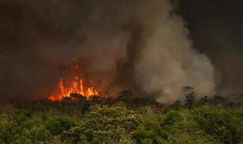 Incêndios no Brasil aumentam em 79% em 2024 com seca extrema;