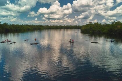 Turismo sustentável e pesca esportiva geram faturamento de R$ 6,3 milhões no Amazonas - FAS