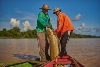 Desafios climáticos e oportunidades para o manejo do pirarucu na Amazônia - FAS