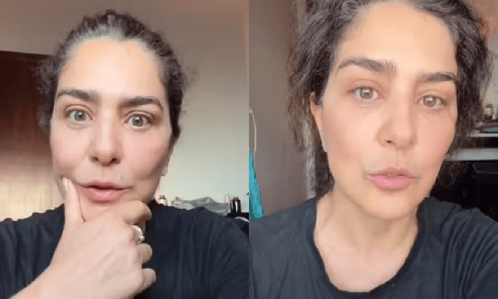 Leticia Sabatella diz que teve cães doados sem autorização e faz registro em delegacia
