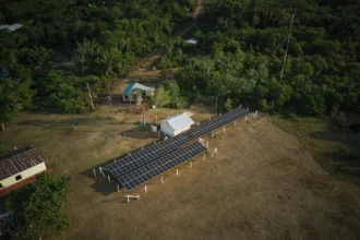 COP 30: soluções sustentáveis devem liderar agenda climática, dizem especialistas - FAS
