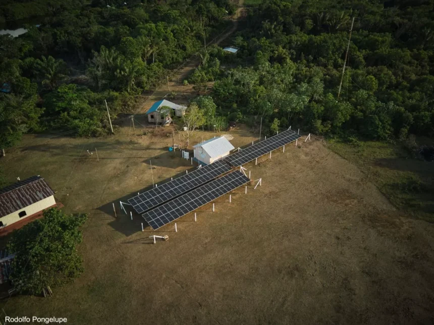 COP 30: soluções sustentáveis devem liderar agenda climática, dizem especialistas - FAS