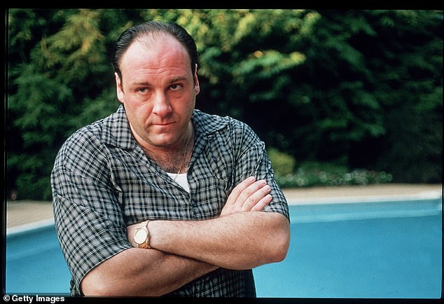 O drama criminal centrou -se em Tony Soprano, que faz parte da multidão. Ele vê um terapeuta para lidar com seus problemas profissionais e pessoais, que trazem ataques de pânico