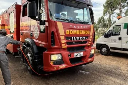 Barreiras sanitárias contra a gripe aviária são reduzidas no RS