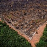 Brasil tem área de florestas do tamanho de Santa Catarina sob alto risco de grilagem, diz estudo – Brasil de Fato