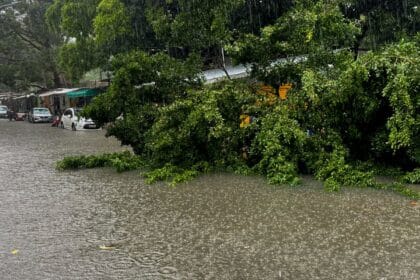 Defesa Civil Alerta é lançado no Nordeste para notificar riscos