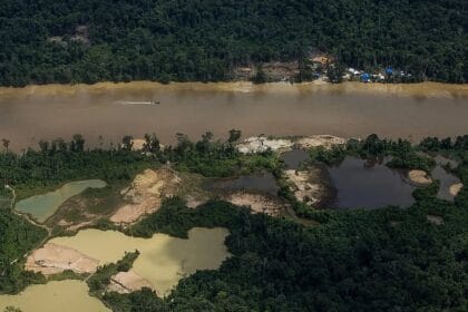‘Proletários da lama’: garimpeiros ilegais têm expectativa de vida de 55 anos, 21 a menos que média nacional