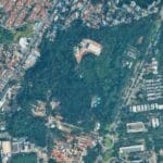 Projeto que permite corte de árvores e prédio industrial no Instituto Butantan deve ser votado semana que vem pela Câmara de SP