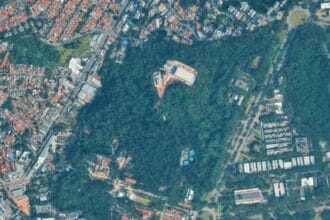 Projeto que permite corte de árvores e prédio industrial no Instituto Butantan deve ser votado semana que vem pela Câmara de SP