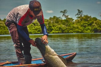 Campanha destaca a importância da conservação da Amazônia e alerta para os impactos das mudanças climáticas - FAS