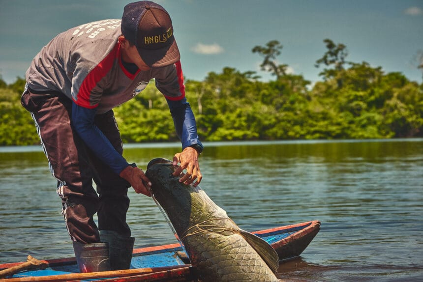 Campanha destaca a importância da conservação da Amazônia e alerta para os impactos das mudanças climáticas - FAS