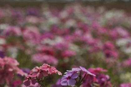 Primavera começa com chegada de frente fria, temporais e fortes ventos