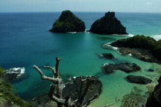 Quase 50% dos turistas usam redes como fonte de informação de viagem