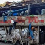 Acidente com ônibus em Pernambuco deixa ao menos 15 mortos