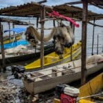 Início do defeso da piracema restringe pesca comercial no país