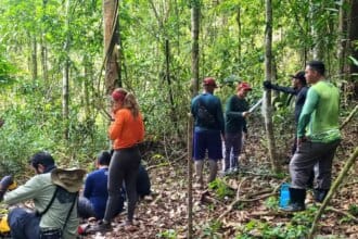 Implantação do Parque Estadual das Árvores Gigantes da Amazônia entra em nova fase de execução - FAS