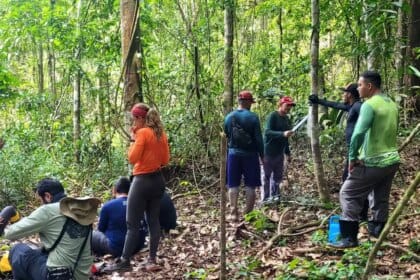 Implantação do Parque Estadual das Árvores Gigantes da Amazônia entra em nova fase de execução - FAS