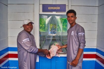 Projeto fortalece cadeia do pirarucu e amplia alternativas de renda na Amazônia - FAS