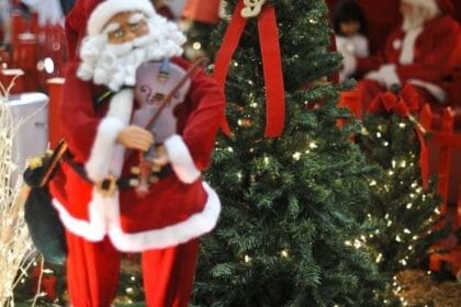 Hoje é Dia: Natal, solstício de verão e Cristina Buarque são destaques