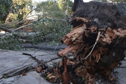 MIDR reconhece situação de emergência em 21 municípios 