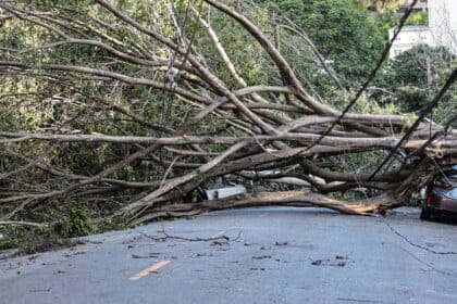 Mais de 1,3 milhão de imóveis continuam sem energia elétrica em SP
