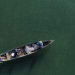 Ministério da Pesca cancela mais de 76 mil licenças de pescadores