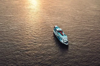 Prospera na Floresta 2