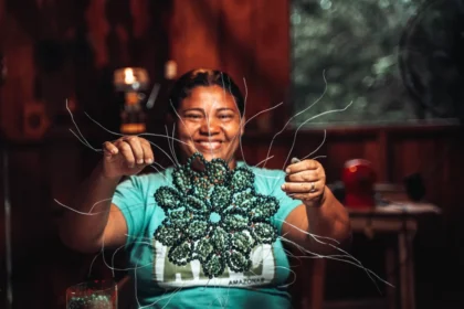 Prospera na Floresta