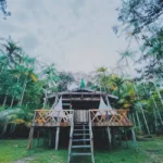 Pousada em Reserva Sustentável na Amazônia é finalista de prêmio internacional de turismo responsável - FAS