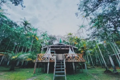 Pousada em Reserva Sustentável na Amazônia é finalista de prêmio internacional de turismo responsável - FAS