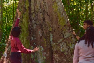 Ações na Amazônia protegem 11,3 milhões de hectares e impactam mais de 21,9 mil famílias - FAS