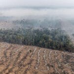 Desmatamento e queimada próxima à Floresta Nacional Bom Futuro, em Porto Velho, Rondônia