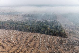 Desmatamento e queimada próxima à Floresta Nacional Bom Futuro, em Porto Velho, Rondônia