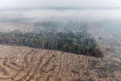 Desmatamento e queimada próxima à Floresta Nacional Bom Futuro, em Porto Velho, Rondônia