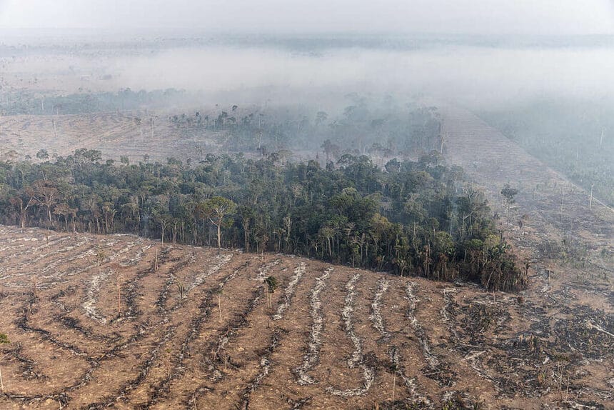 Desmatamento e queimada próxima à Floresta Nacional Bom Futuro, em Porto Velho, Rondônia
