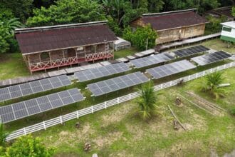 Energia solar chega a uma das regiões mais isoladas do Amazonas e beneficia mais de 200 famílias - FAS