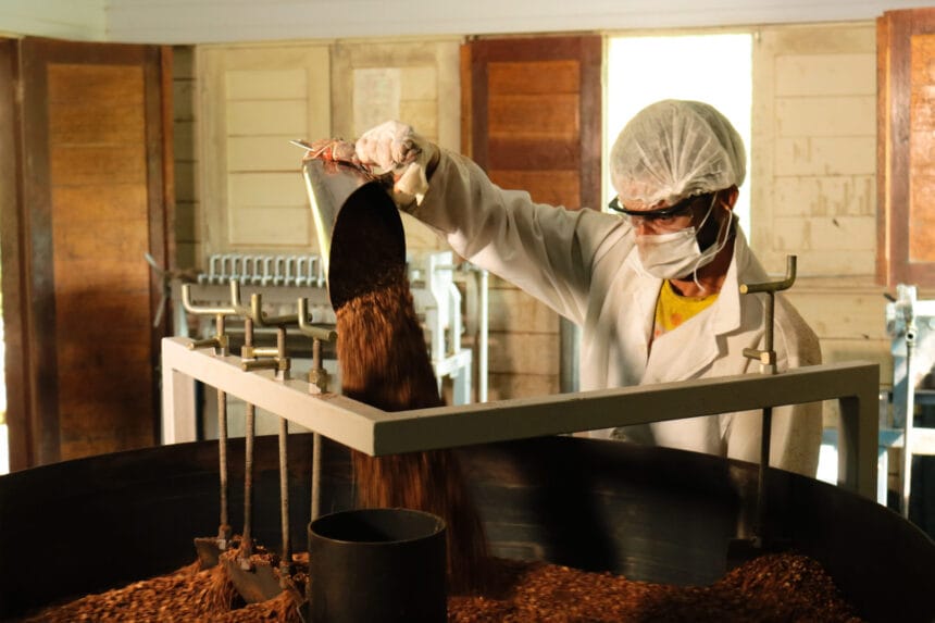 Amazônia vive nova onda de financiamento estruturado para bioeconomia - FAS