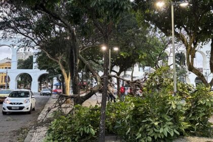 Ventania causa apagão e paralisa transportes no Rio de Janeiro
