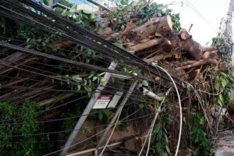 Mais de 200 mil continuam sem energia no Rio após vendaval