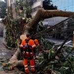 Rede elétrica mais resiliente requer investimento de concessionárias
