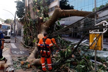 Rede elétrica mais resiliente requer investimento de concessionárias