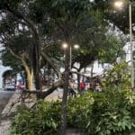 Meteorologistas dizem que não é possível associar ventanias ao El Niño