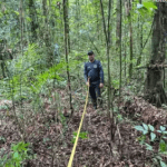 Oficinas participativas contribuem para Plano de Gestão do Parque Estadual Ambiental das Árvores Gigantes da Amazônia - FAS