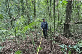 Oficinas participativas contribuem para Plano de Gestão do Parque Estadual Ambiental das Árvores Gigantes da Amazônia - FAS