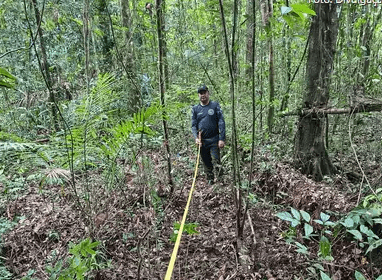 Oficinas participativas contribuem para Plano de Gestão do Parque Estadual Ambiental das Árvores Gigantes da Amazônia - FAS