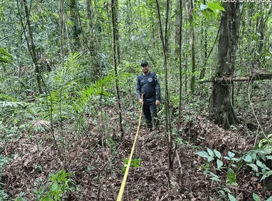 Oficinas participativas contribuem para Plano de Gestão do Parque Estadual Ambiental das Árvores Gigantes da Amazônia - FAS